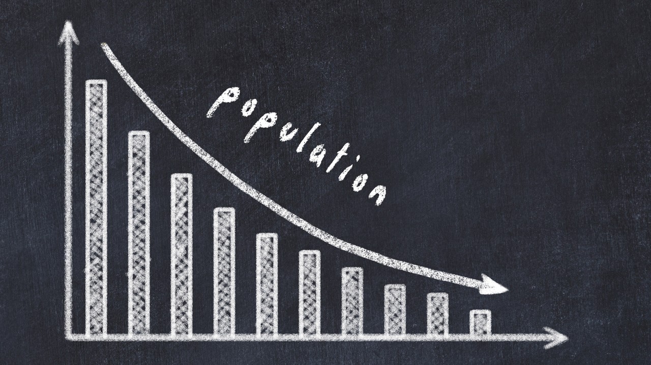 Immigration as the Only Politically Feasible Solution to Population Collapse